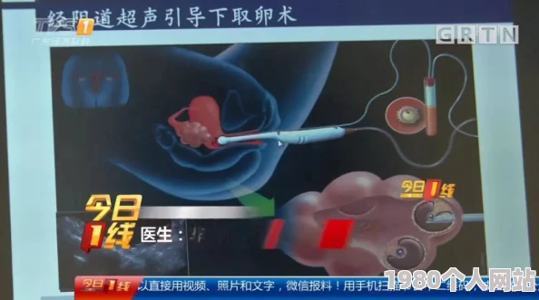 清纯娇妻出借受孕遭地下代孕组织操控沦为生育工具