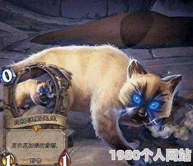 炉石传说喵星人笨笨深度解析：竞技场退环境大变革，网友热议新变动影响