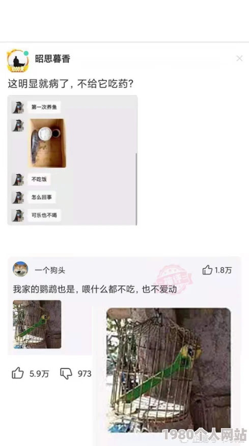 男男少年乖h调教跪趴sm主人网友：尺度太大，令人不适，举报了