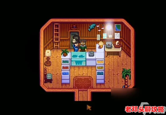 星露谷物语攻略：姜岛海盗妻子纪念品任务高效完成指南
