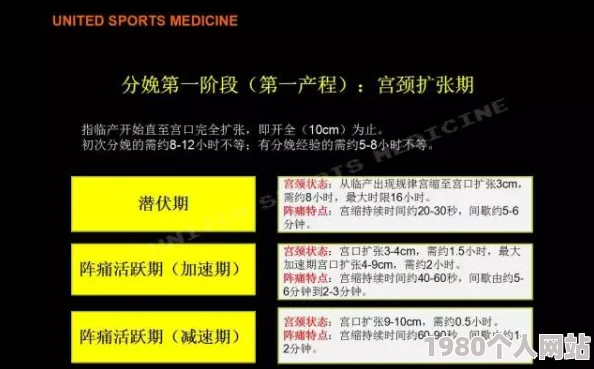 快速掌握：我的休闲时光家园等级提升策略与高效方法指南